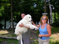 dogster.com, pet friendly.ca, top rated pet friendly accommodation, pet friendly ontario, pet frienldy canada